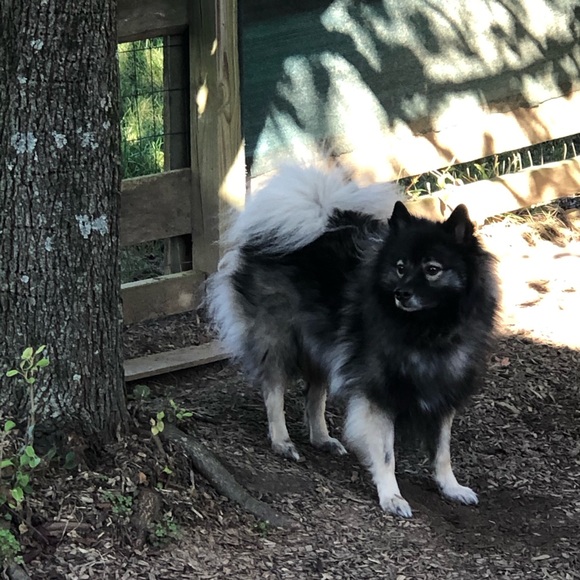 WELCOME TO MY CLOSET - Picture 3 of 4